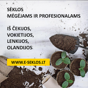 e-seklos